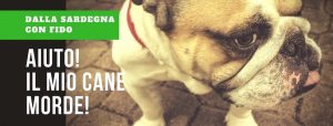 Dalla Sardegna con Fido - Aiuto il mio cane morde - Radio Sardegna Web