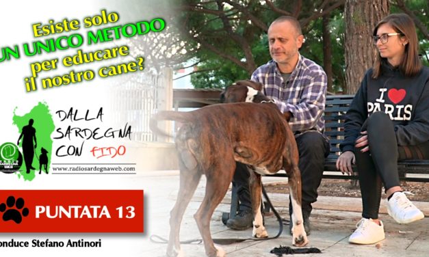 Esiste un unico metodo per educare il cane? – 🐶 Dalla Sardegna Con Fido [ 13 ]